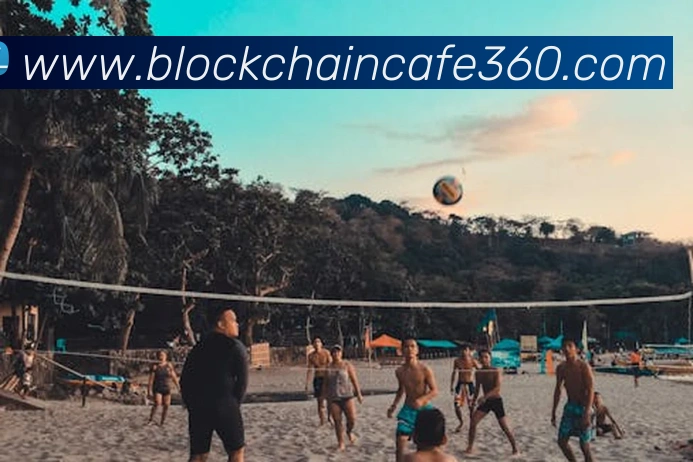 开云网页版在线登录app品牌故事