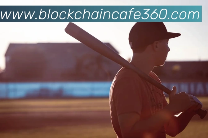 开云网页版在线登录app服务体系